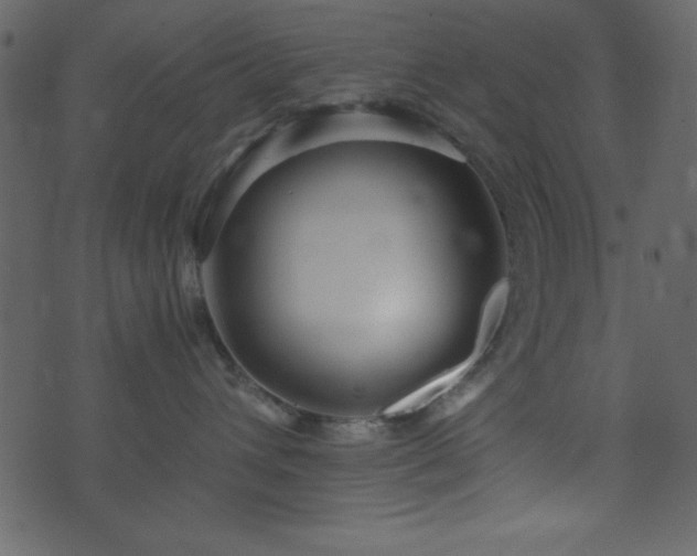 X0000071760432200606301135