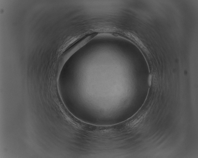 X0000071760433200606301134