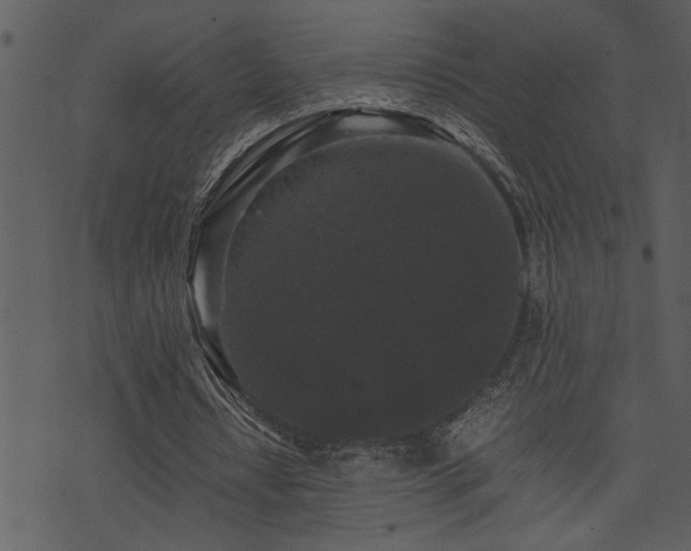 X0000071760434200606301134