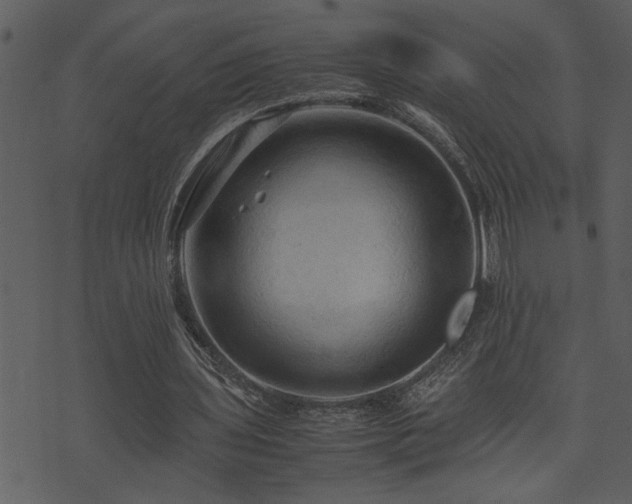 X0000071760435200606301134