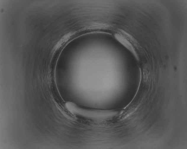 X0000071760436200606301134