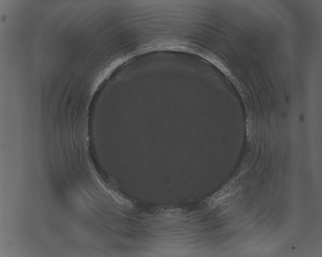 X0000071760438200606301134