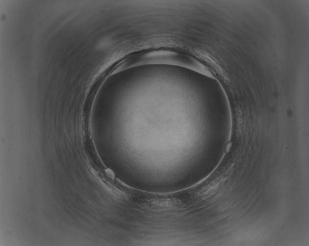 X0000071760439200606301134