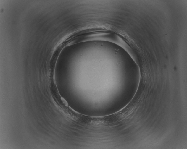 X0000071760440200606301134