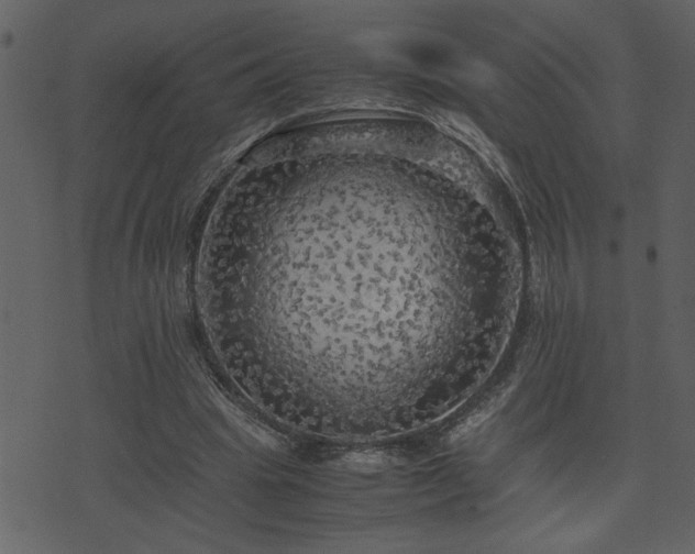 X0000071760441200606301134