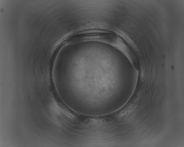 X0000071760442200606301134