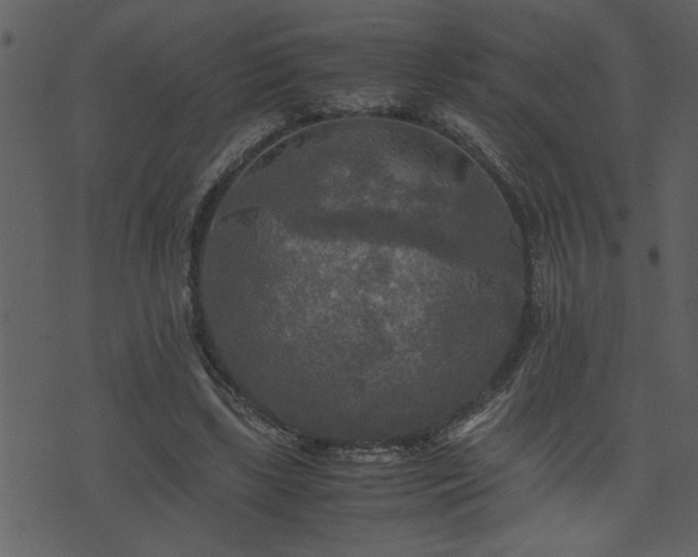 X0000071760443200606301134