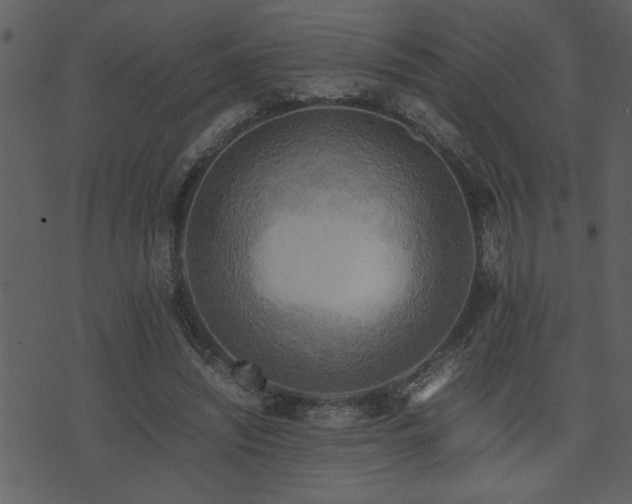 X0000071760444200606301134