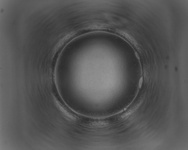 X0000071760445200606301134