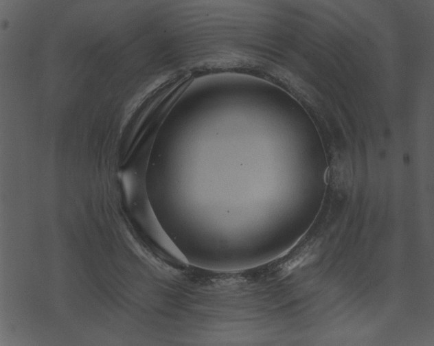 X0000071760446200606301134