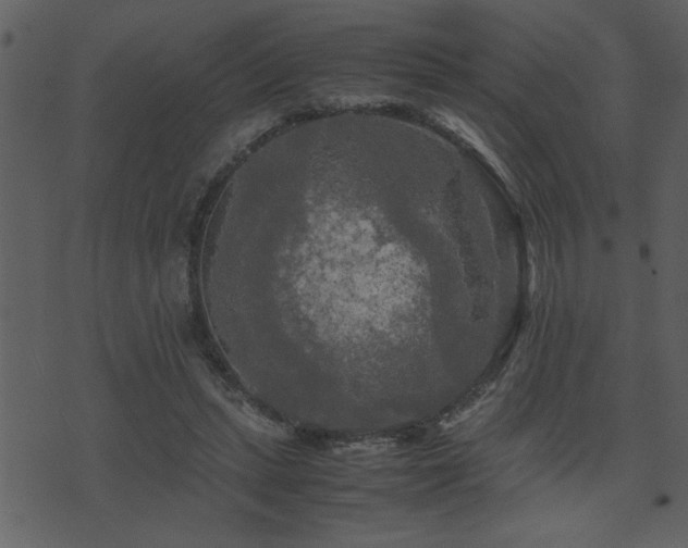 X0000071760447200606301134