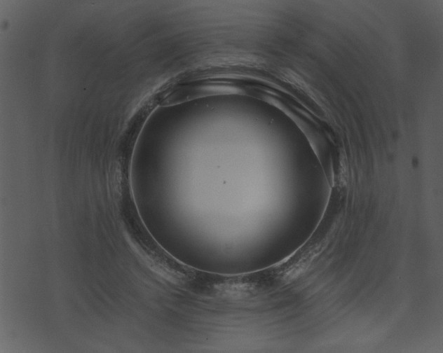 X0000071760448200606301134