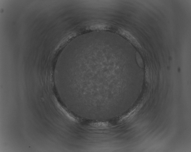 X0000071760449200606301134