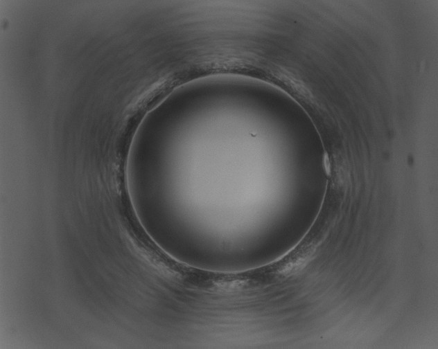 X0000071760450200606301134