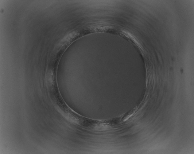 X0000071760451200606301134