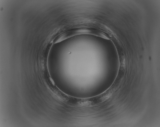 X0000071760452200606301134