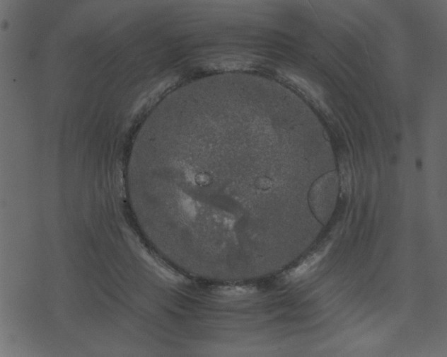 X0000071760453200606301134