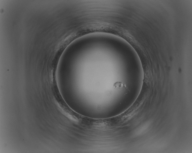 X0000071760454200606301134