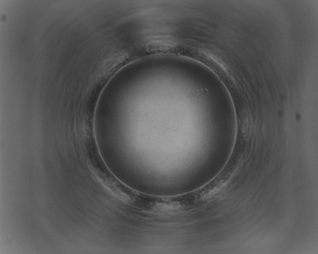 X0000071760455200606301134