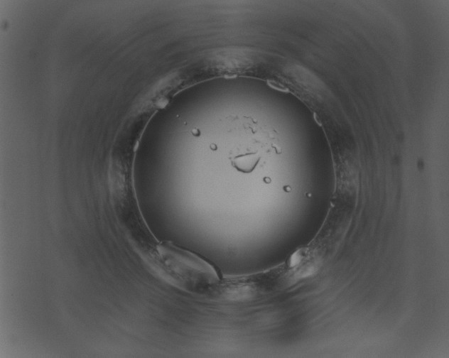 X0000071760456200606301134