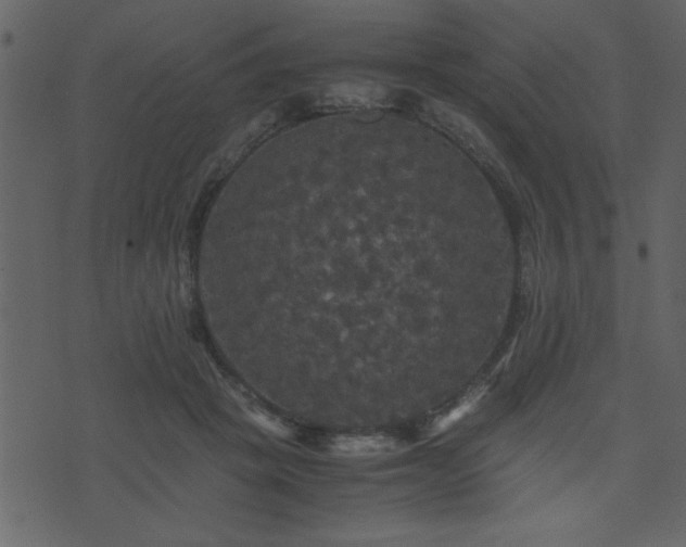 X0000071760457200606301134