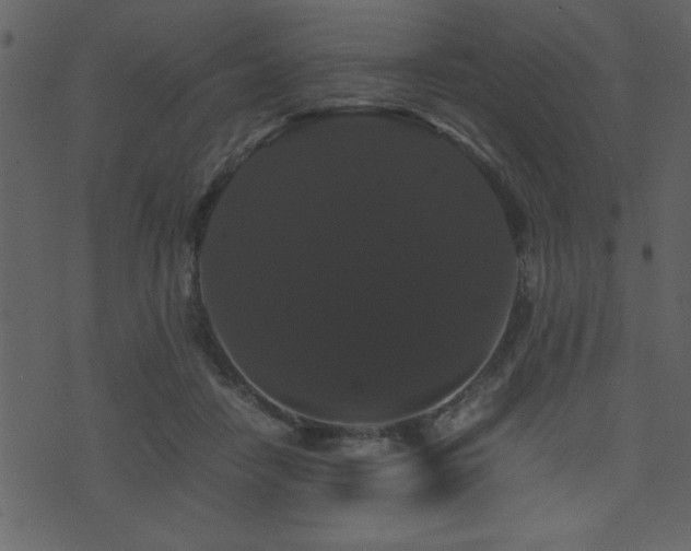 X0000071760458200606301134