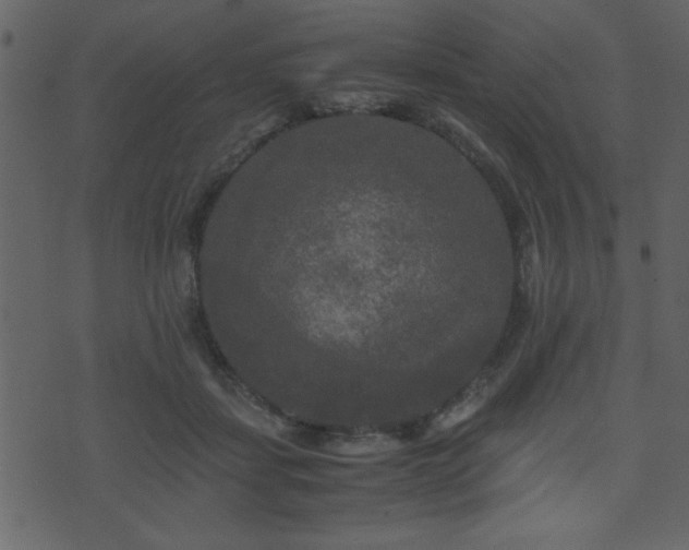 X0000071760459200606301134