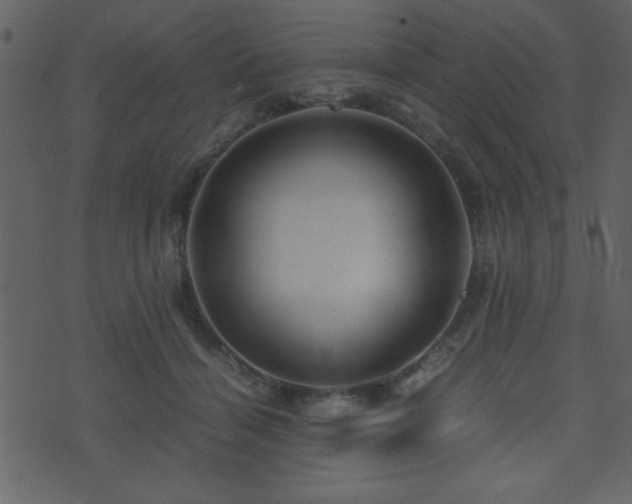 X0000071760460200606301134