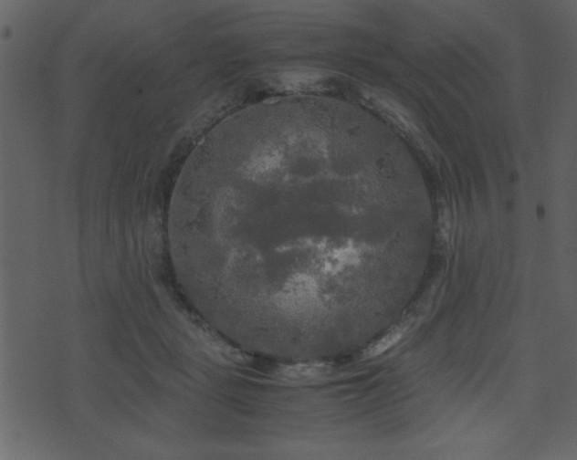 X0000071760461200606301134