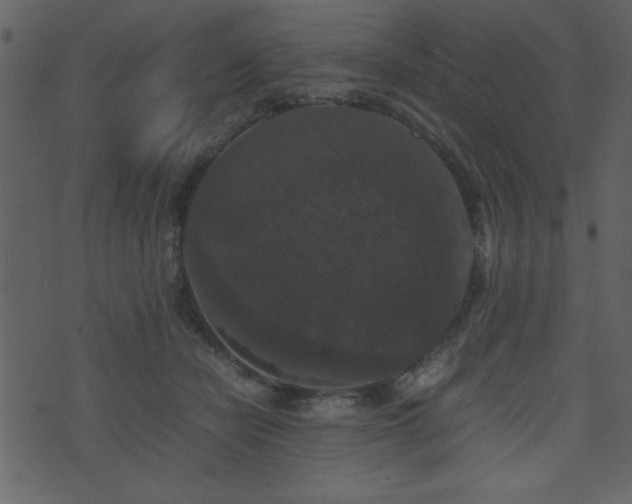 X0000071760462200606301134