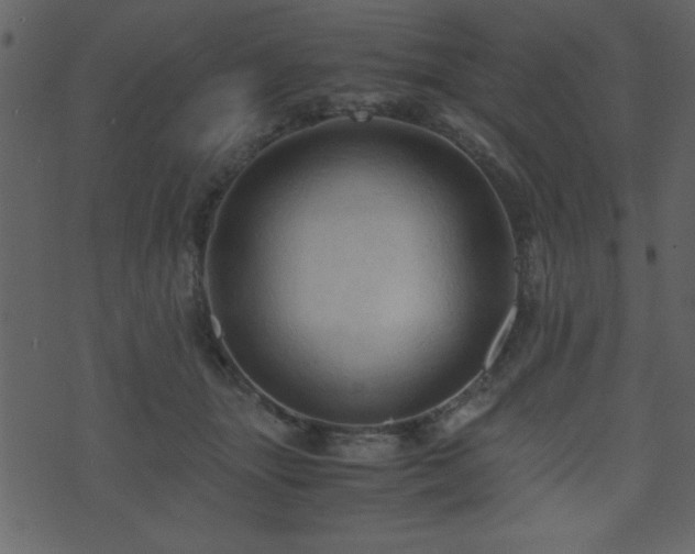 X0000071760463200606301135