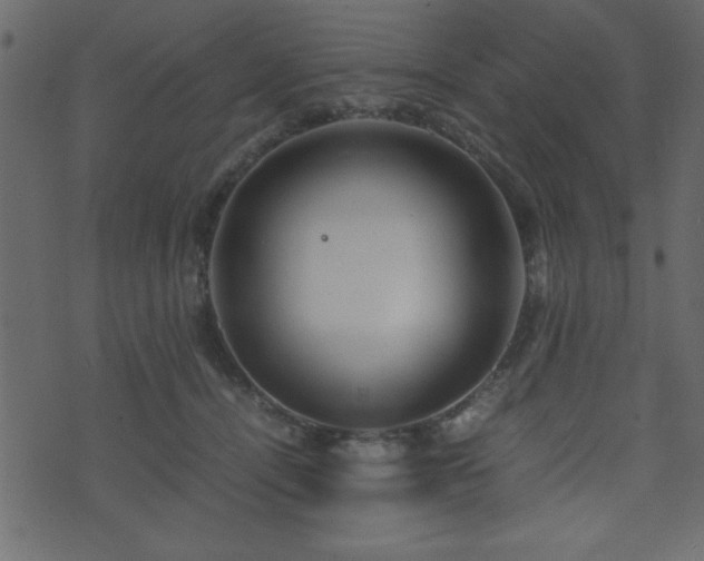 X0000071760464200606301135