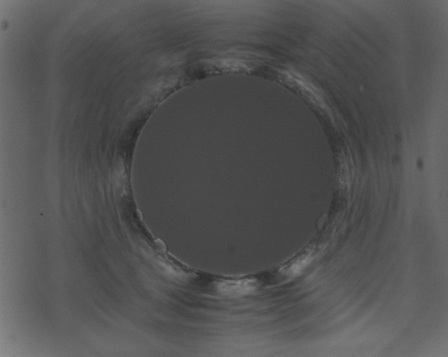 X0000071760465200606301135