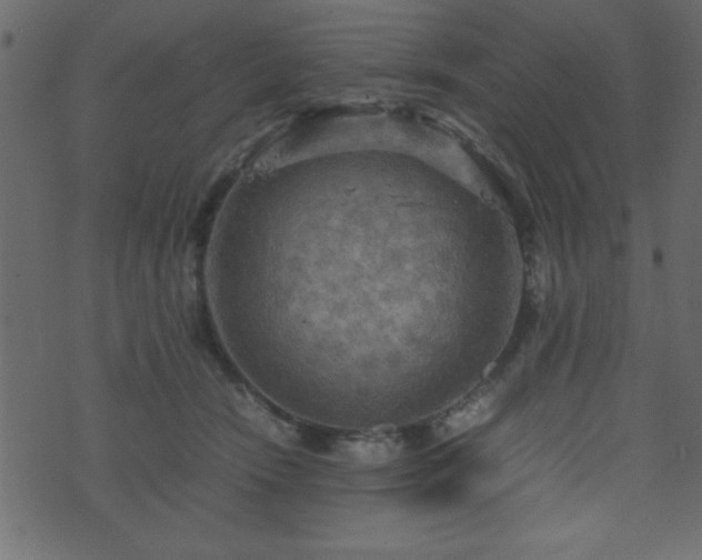 X0000071760466200606301135