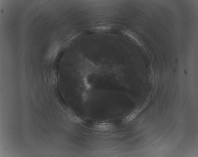 X0000071760467200606301135