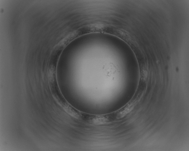 X0000071760468200606301135