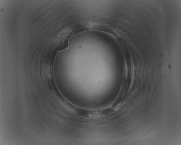 X0000071760470200606301135