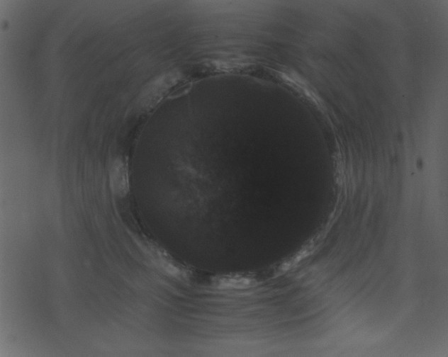 X0000071760471200606301135