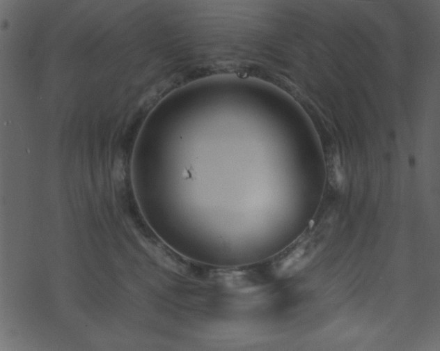 X0000071760472200606301135