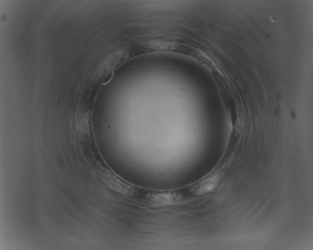 X0000071760473200606301135