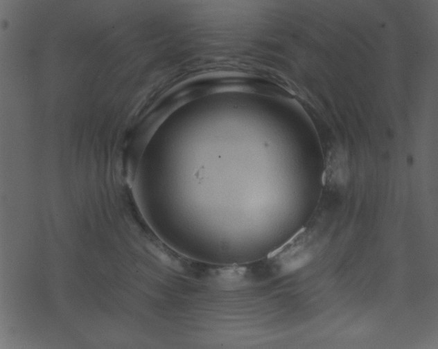 X0000071760474200606301135