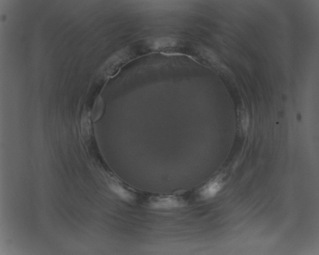 X0000071760475200606301135