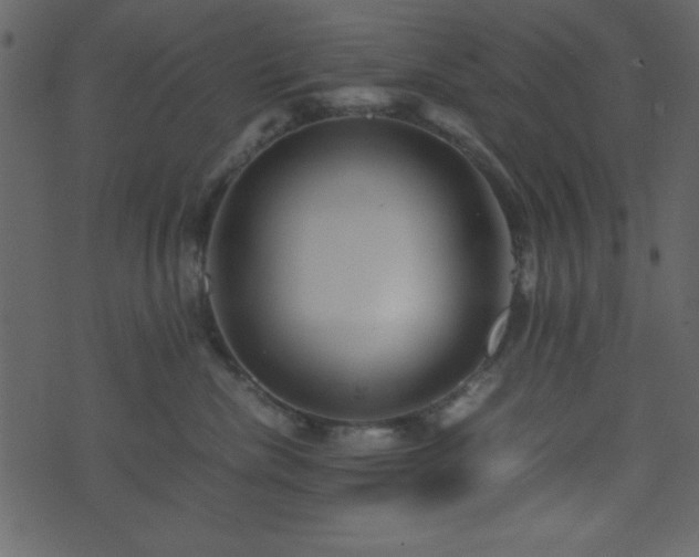 X0000071760476200606301135