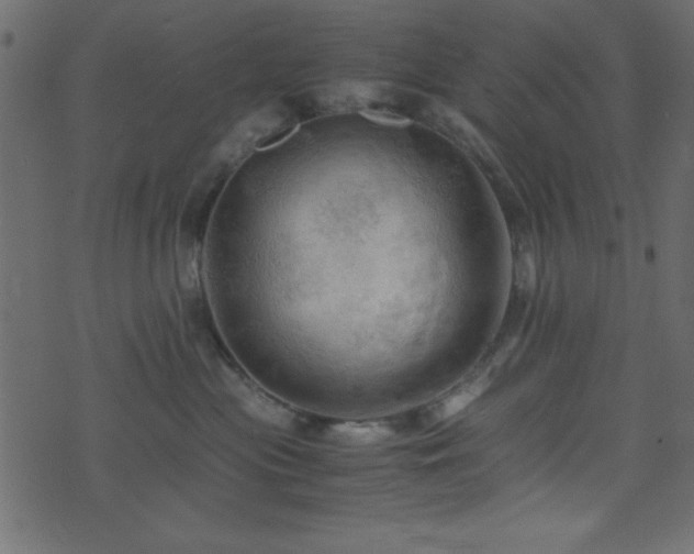 X0000071760477200606301135