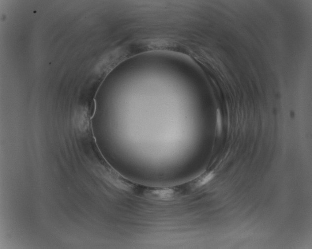 X0000071760478200606301135