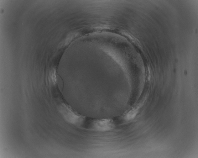 X0000071760479200606301135