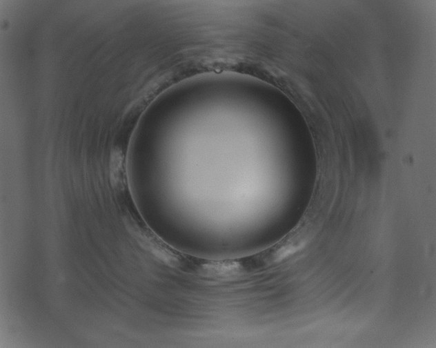 X0000071760480200606301135