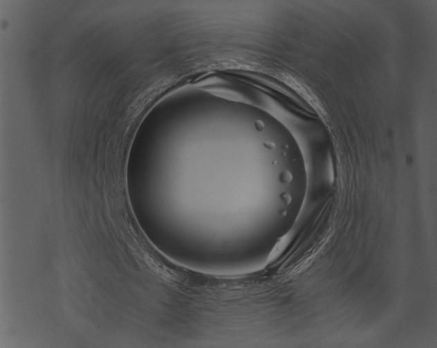 X0000071760481200606301134