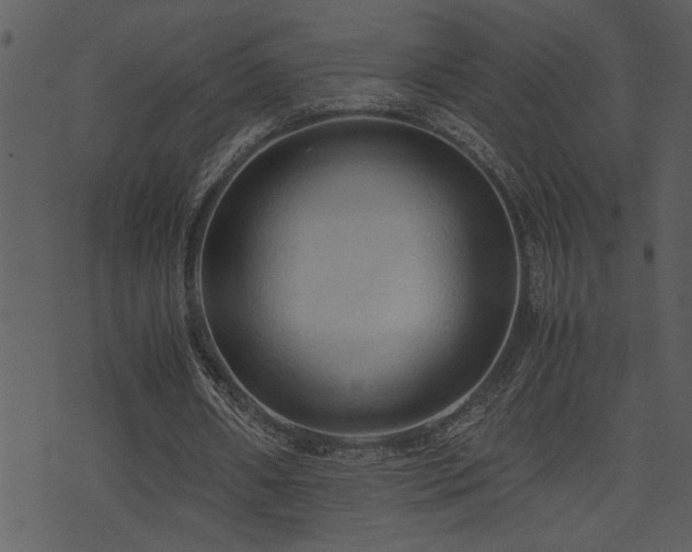 X0000071760482200606301134