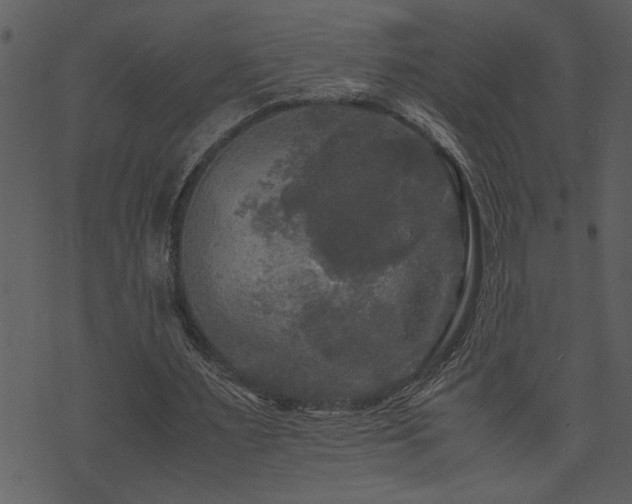 X0000071760483200606301134